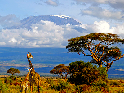 Kilimanjaro Flight Price £538
